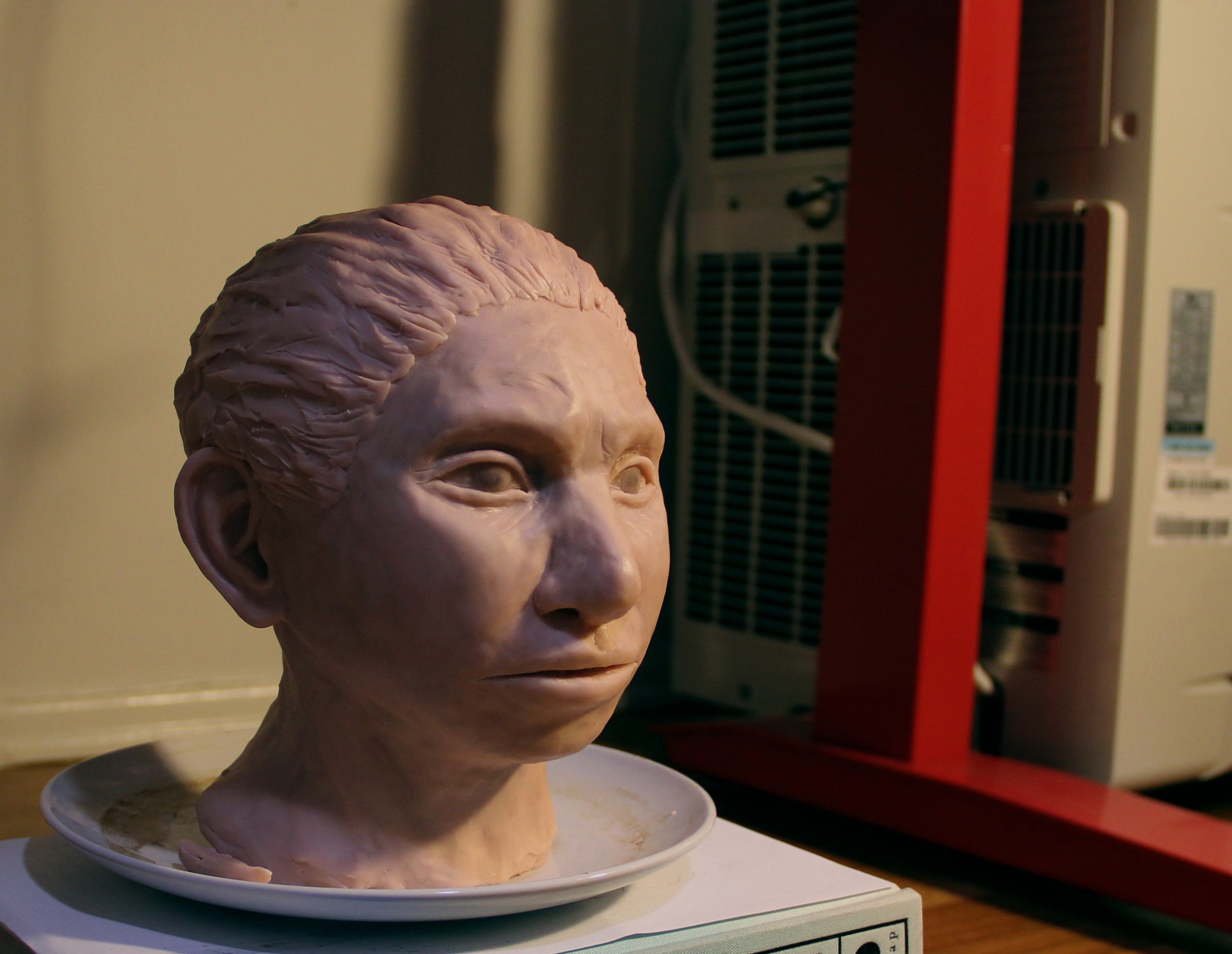 Reconstrucción impresa en 3D de una mujer denisovana.