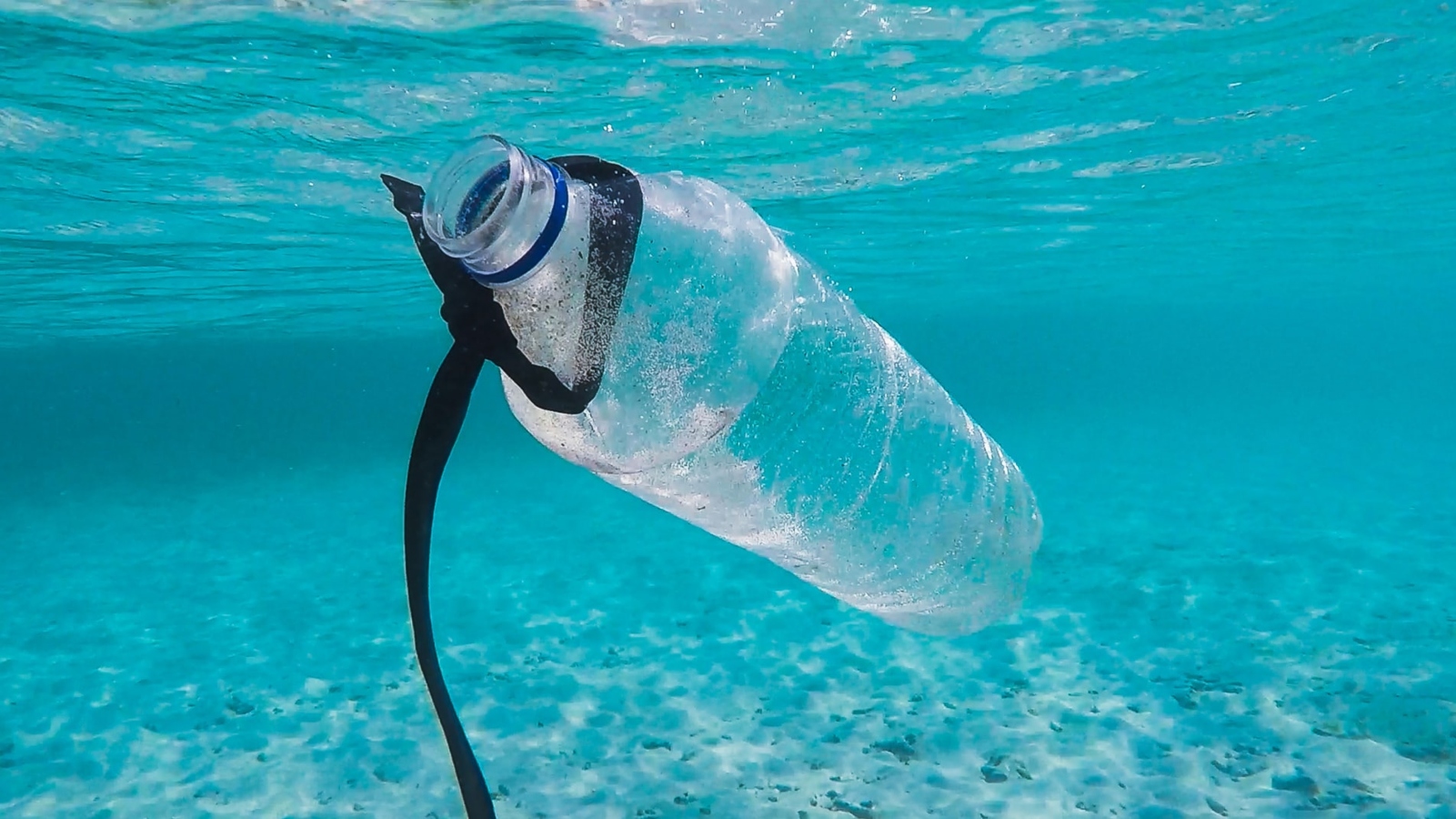 Los plásticos en el océano dañan la vida silvestre y a las personas. Foto: Brian Yurasits/Unsplash