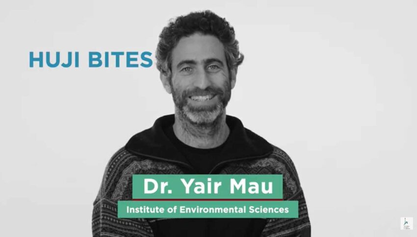 Dr. Yair Mau