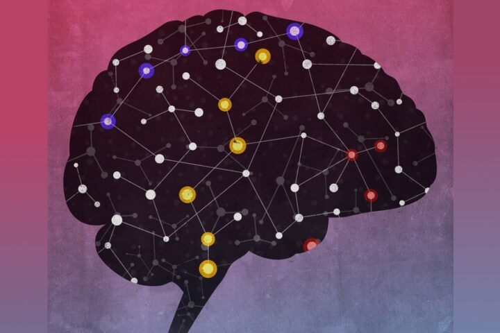 El Reino Unido y la Universidad Hebrea unen fuerzas para investigar el poder del cerebro