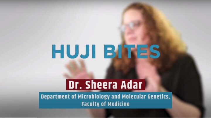 HUJI Bite | Daño y mutaciones en el ADN: cómo las células lo mantienen seguro