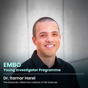 Dr. Itamar Harel